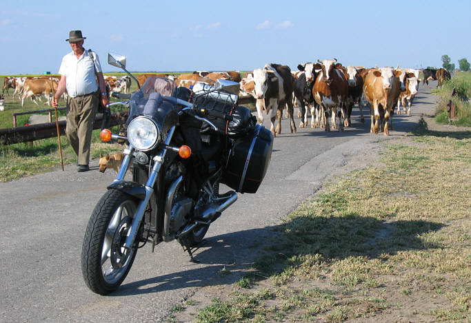 27. Mai, Vojvodina