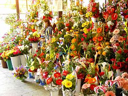 29. Mai, Blumenmarkt in Timisoara