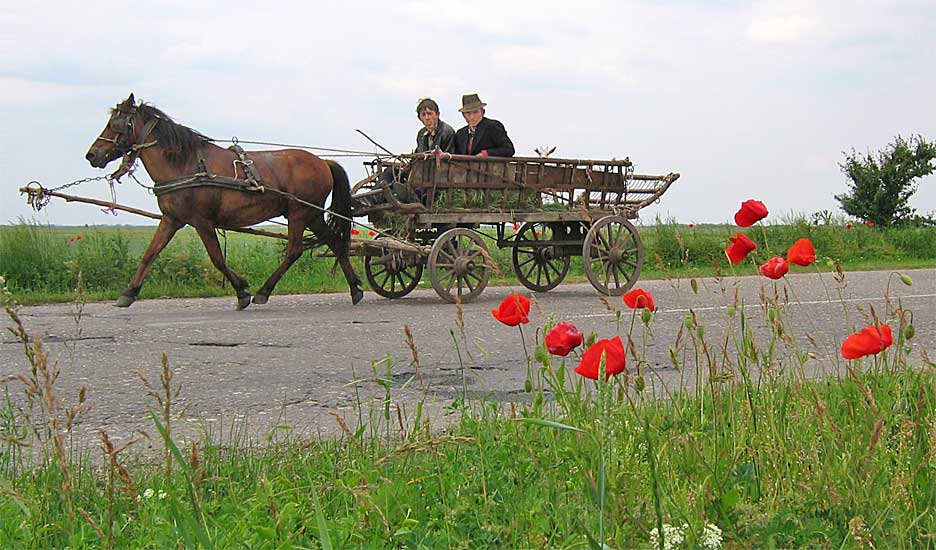 29. Mai, Vojvodina, nahe der Rum�nischen Grenze