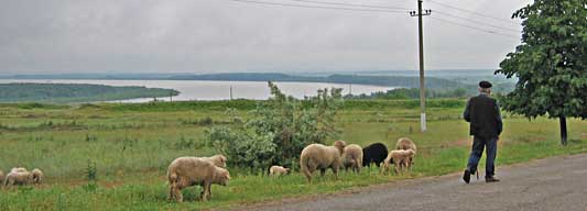 7.6.2005 - Moldawien - Rumnien - Donau bei Galati