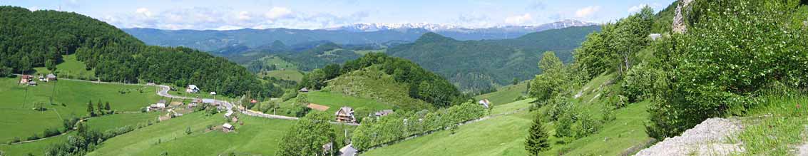 10.6.2005 - Rumnien - Karpaten zwischen Brasov und Pitesti