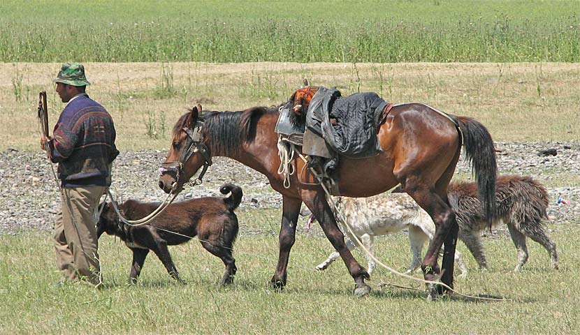 31.5.2006 - Georgischer Cowboy