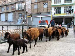 26.5.2007, Kandovan