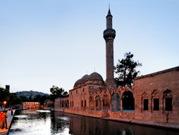 6.6.2007, Halil-Rahman-Moschee, Teich des Abraham, Sanliurfa